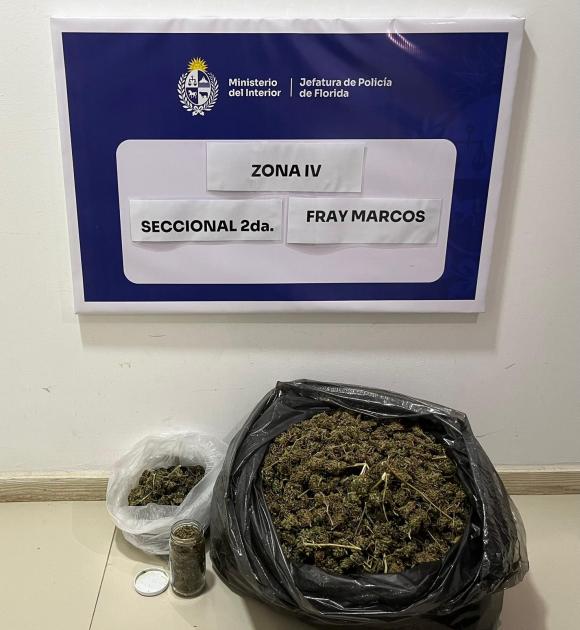 Incautacion de sustancias estupefacientes Incautacion de sustancias estupefacientes