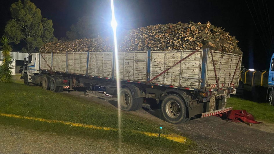 Durazno: camión trasladaba 25.000 kilos de leña indígena y la guía de carga presentó adulteraciones Durazno: camión trasladaba 25.000 kilos de leña indígena y la guía de carga presentó adulteraciones