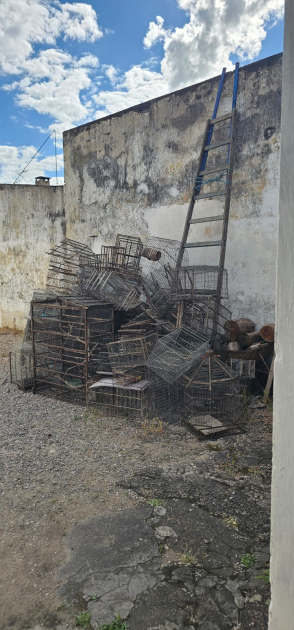 Jaulas y tramperos incautados 