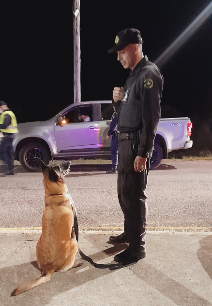 Equipo K-9 Equipo K-9