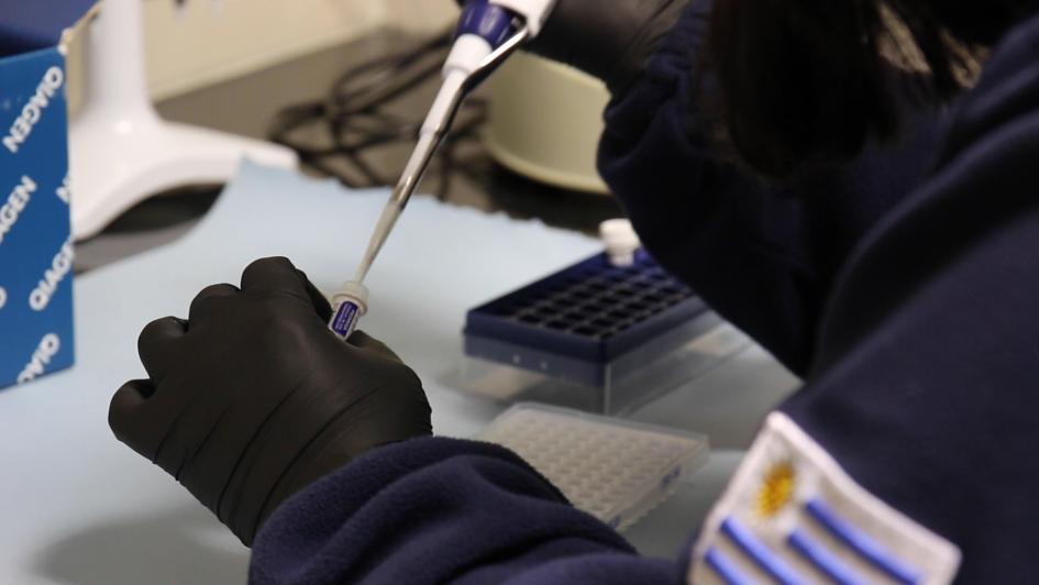 Policía tomando muestra biológica para ser analizada Policía tomando muestra biológica para ser analizada