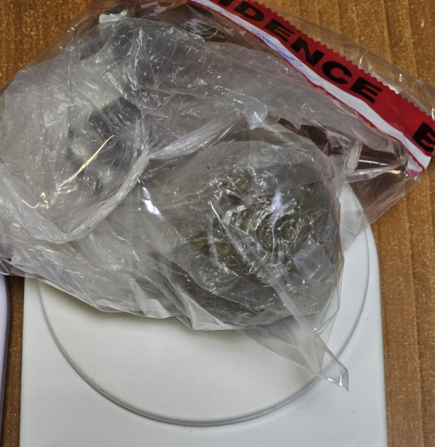Marihuana incautada a detenido por URP Marihuana incautada a detenido por URP