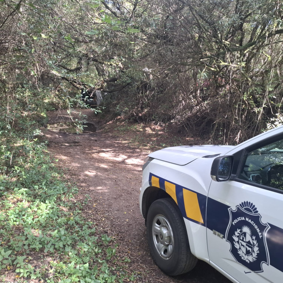 Móvil ingresando a un monte