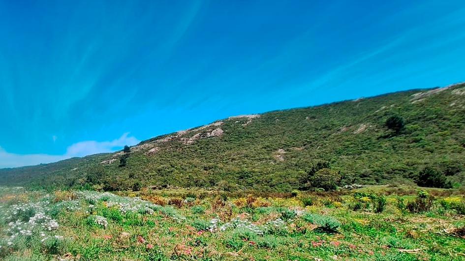 Paraíso natural Naturaleza en la travesía