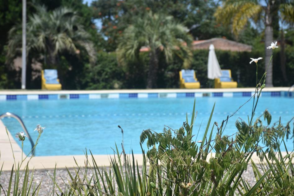 Piscinas y flores