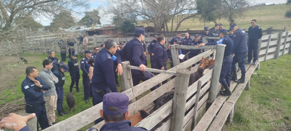 Praxis de jornadas de legislacion Se ven varios policías reciendo instruccion en un embarcadero de vacunos