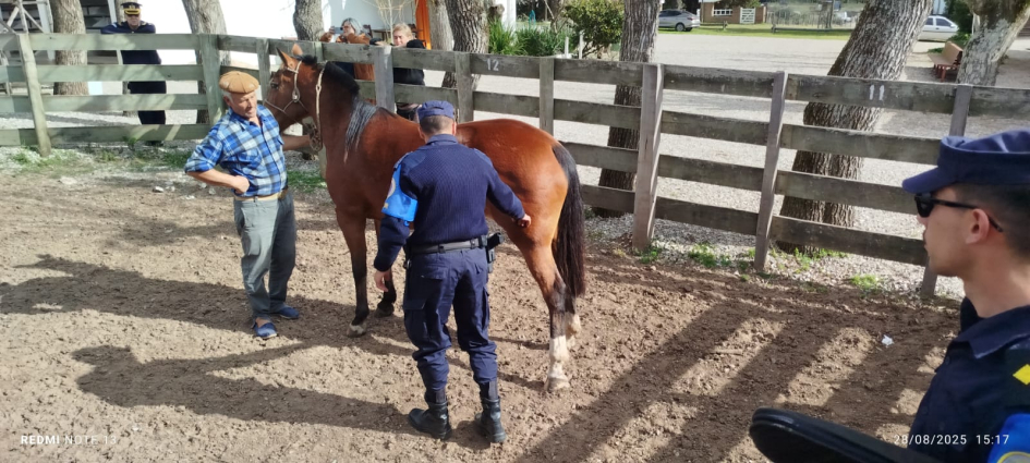 Praxis de jornadas de legislacion Se ve un equino con un hombre y un instructor policial adentro de un potrero