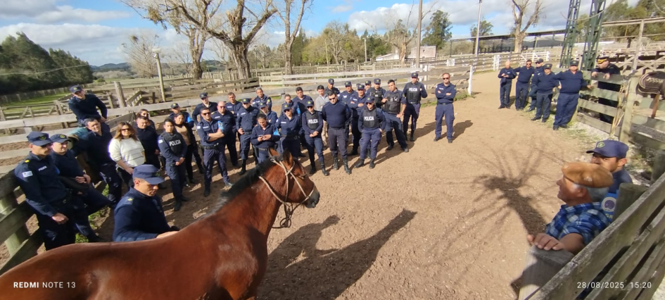 Se ve un grupo de policías recibiendo instrucción adentro de un potrero rural con un equino Se ve un grupo de policías recibiendo instrucción adentro de un potrero rural con un equino