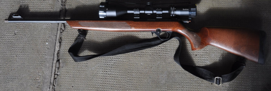 Rifle con mira telescopica 