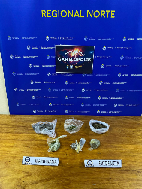 droga incautada en el procedimiento droga incautada en el procedimiento