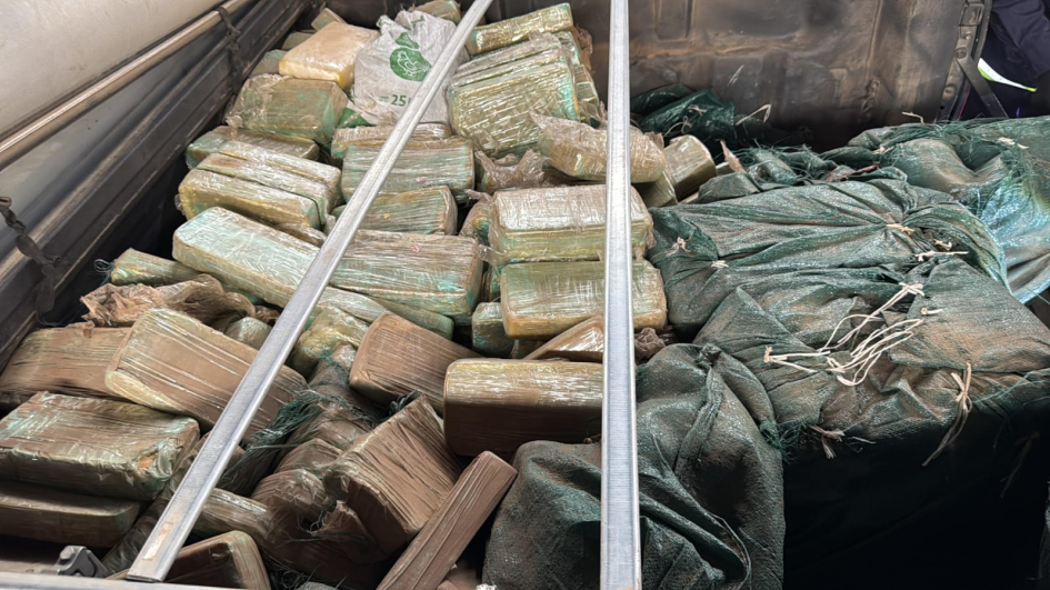 SINERGIA INCAUTACION 415KG PDU4 SINERGIA INCAUTACION 415KG PDU4