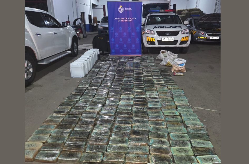 SINERGIA INCAUTACION 415KG PDU SINERGIA INCAUTACION 415KG PDU