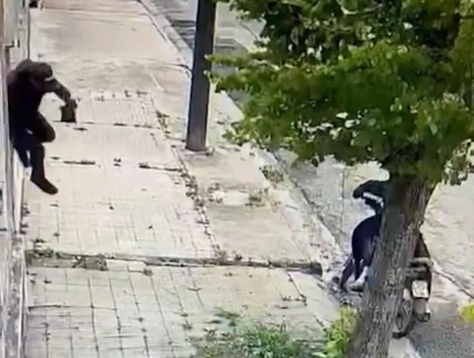 Hombre con la herramienta hurtada, saltando un muro Hombre con la herramienta hurtada, saltando un muro