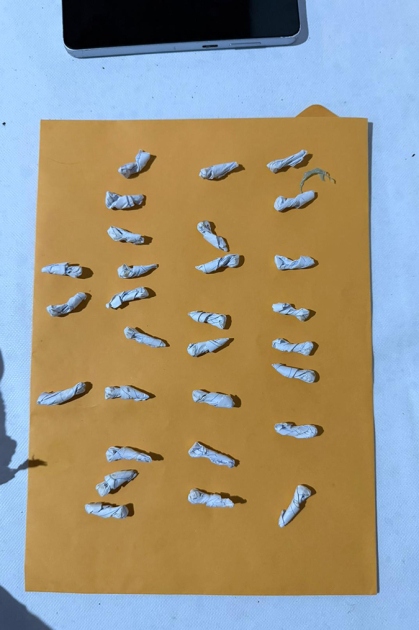 Sustancia estupefaciente acondicionada en envoltorios de papel