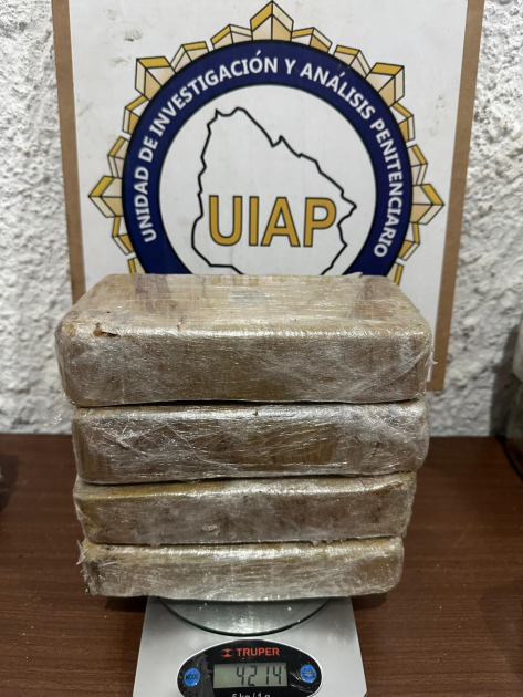 droga incuatada en la Unidad N° 4 del INR droga incuatada en la Unidad N° 4 del INR