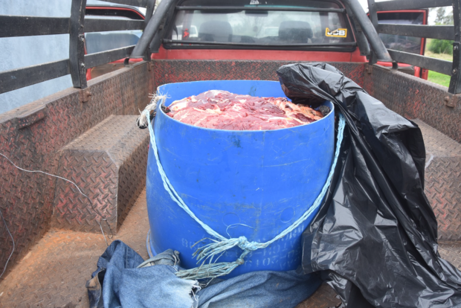 Carne cruda en una tarrina Una tarrina azul con carne, cubierta parcialmente con una bolsa negra.