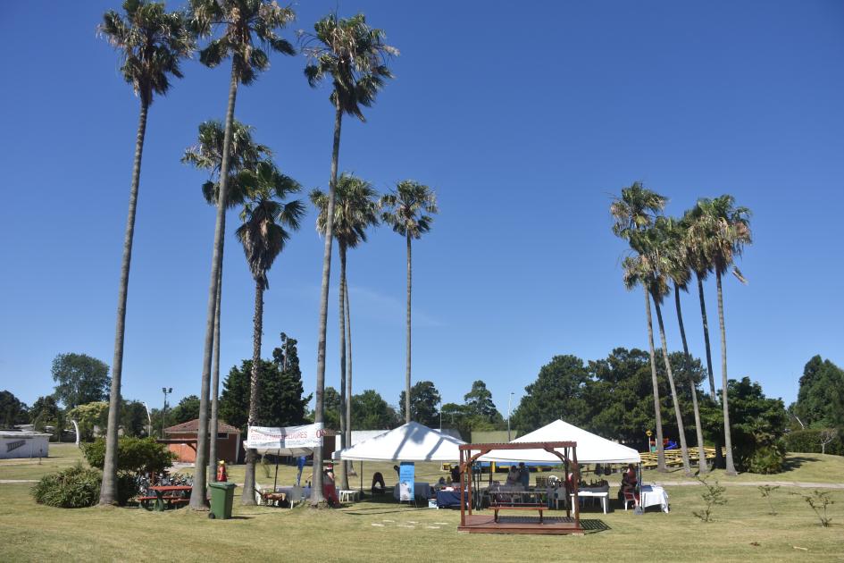 Vista palmeras Parque Policial