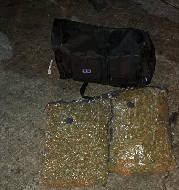 Cogollo de Marihuana Momento de la incautación