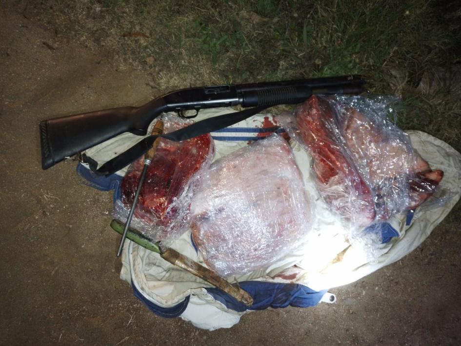 Arma y carne incautada Arma y carne incautada