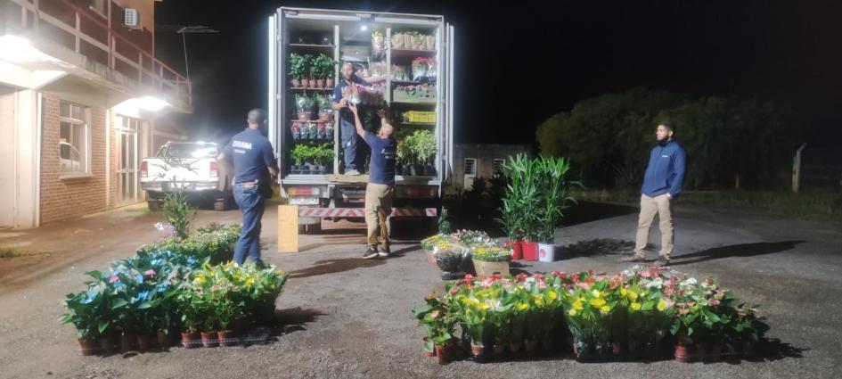 Mercadería incautada