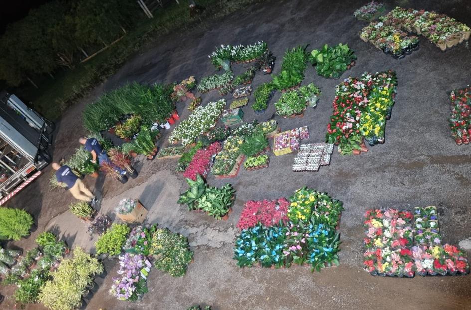 Mercadería incautada