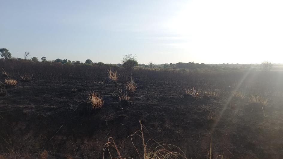Campo afectado por el fuego. 
