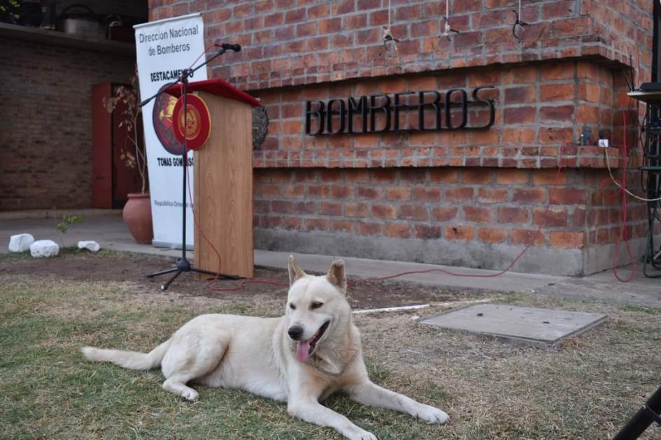 Previo al acto en la puerta del destacamento frente del destacamento con un perro amigo del barrio