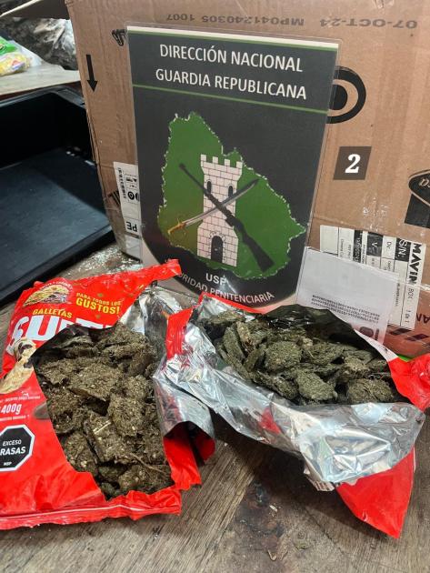 Marihuana incautada. Marihuana incautada.