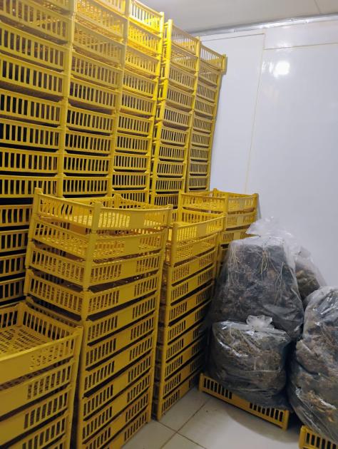 Operación Poseidón: más de 1.400 kilogramos de marihuana incautados en Colonia