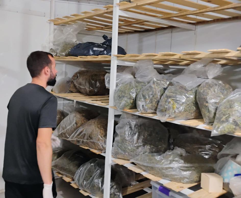Operación Poseidón: más de 1.400 kilogramos de marihuana incautados en Colonia