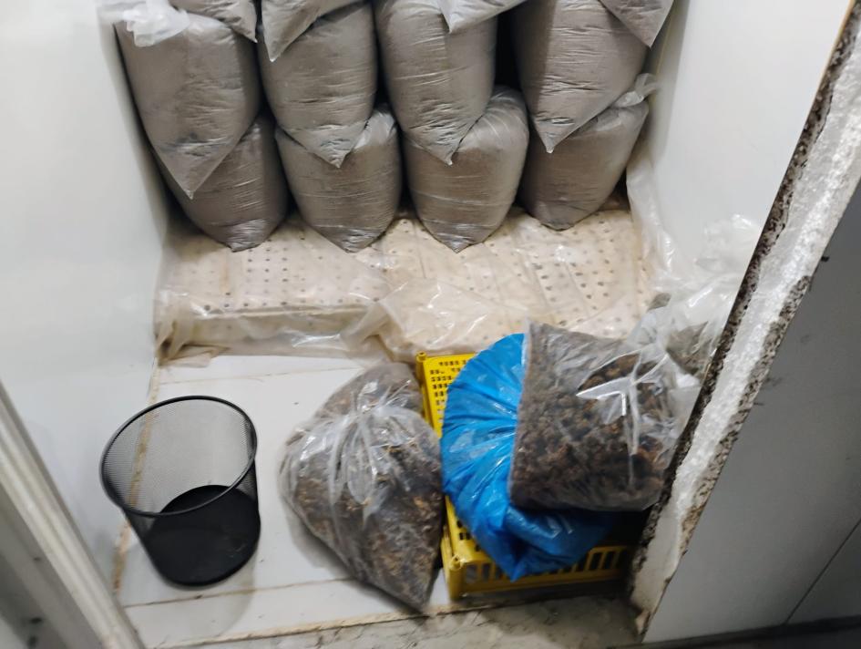 Operación Poseidón: más de 1.400 kilogramos de marihuana incautados en Colonia