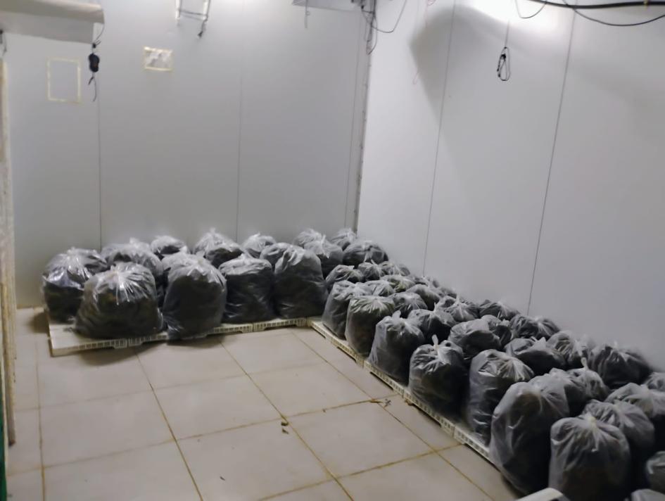 Operación Poseidón: más de 1.400 kilogramos de marihuana incautados en Colonia