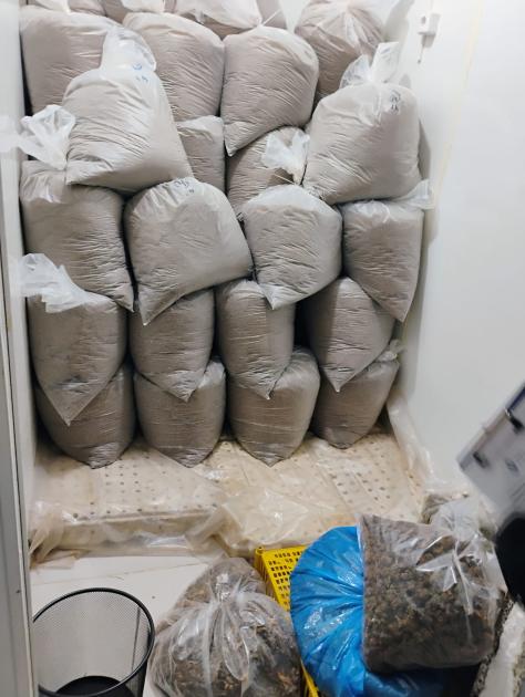 Operación Poseidón: más de 1.400 kilogramos de marihuana incautados en Colonia