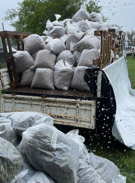 Operación Poseidón: más de 1.400 kilogramos de marihuana incautados en Colonia