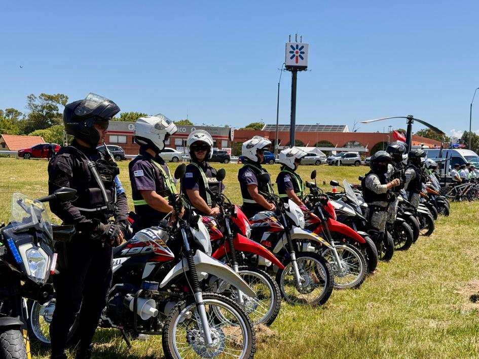 Operativo verano azul Operativo verano azul