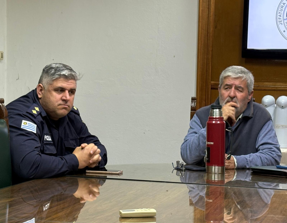 Presentación de las estadísticas