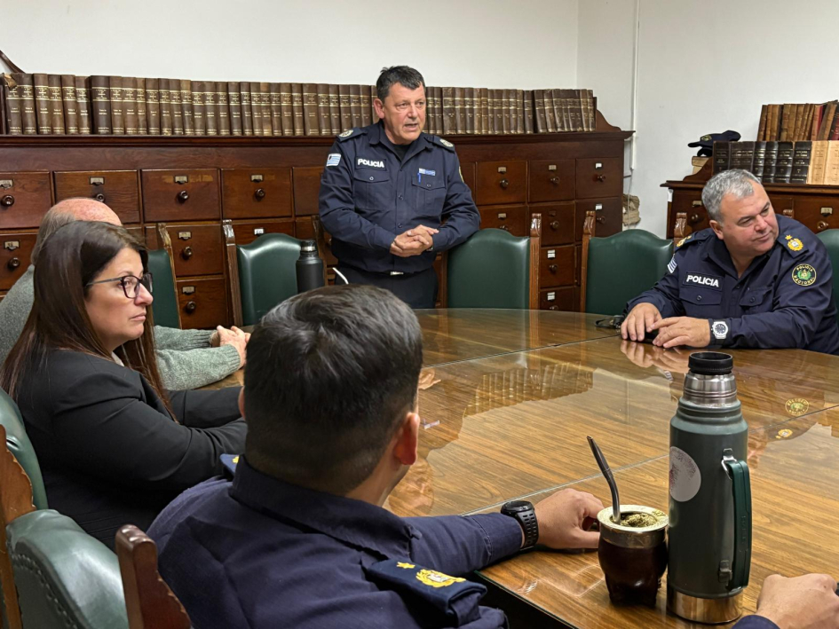Presentación de las estadísticas