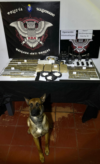 Incautación 30 de octubre Incautación 30 de octubre