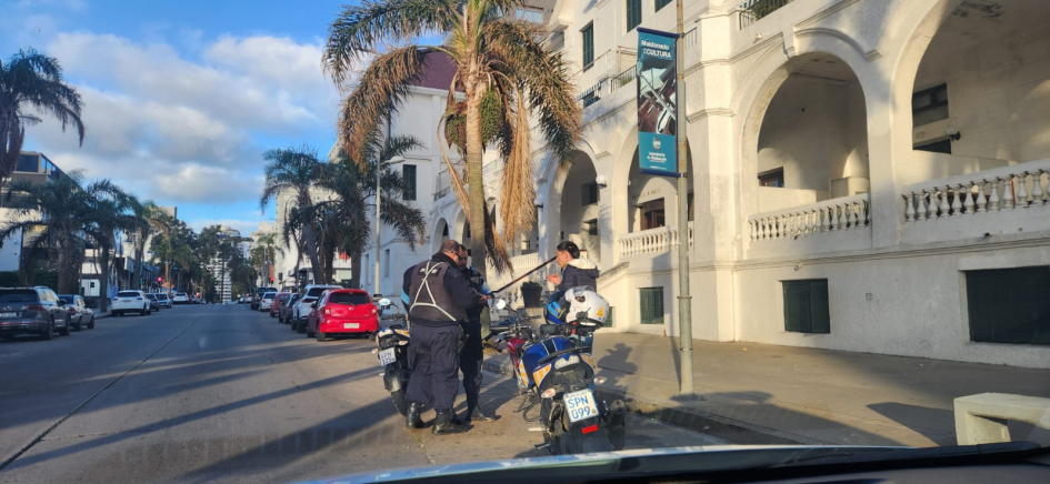 Inspeccion vehicular Operativos