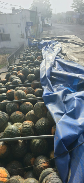 camión con contrabando