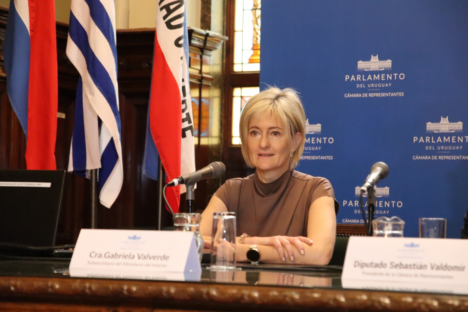 Cra. Gabriela Valverde, Subsecretaria del Ministerio del Interior Cra. Gabriela Valverde, Subsecretaria del Ministerio del Interior
