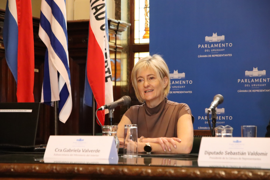 Cra. Gabriela Valverde, Subsecretaria del Ministerio del Interior Cra. Gabriela Valverde, Subsecretaria del Ministerio del Interior