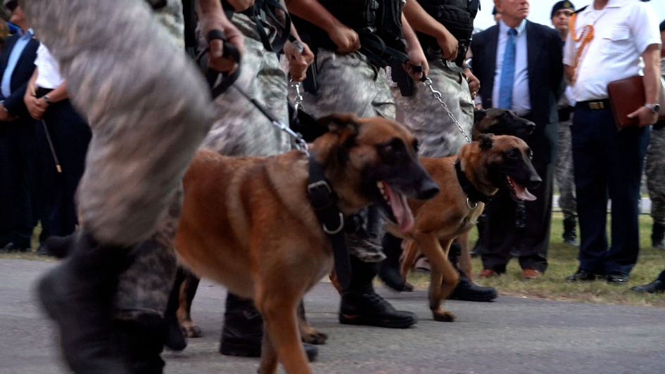 La Dirección Nacional de Guardia Republicana conmemoro su 15° Aniversario 