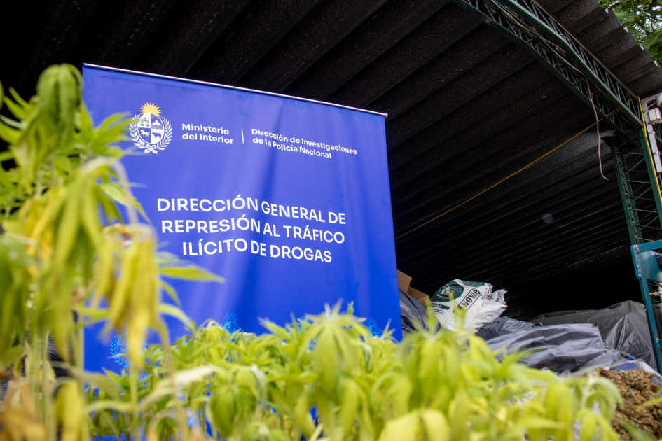 Trabajo de la DIPN permitió la incautación de más de $250.500.000 por lavado de activos y otros deli