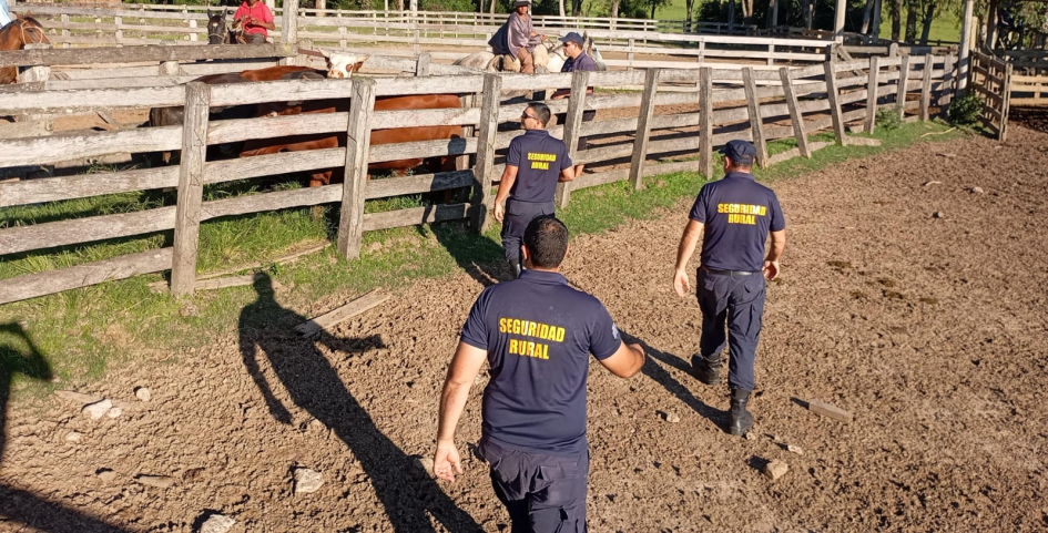 Brigada Departamental recupera animales tras abigeato