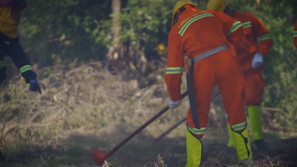 Dirección Nacional de Bomberos: la prevención de incendios se hace todo el año 