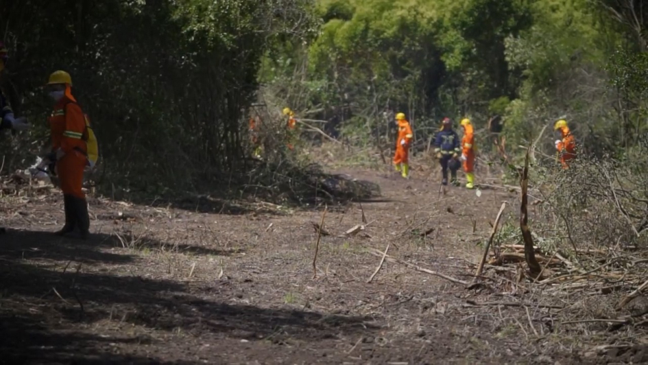 Dirección Nacional de Bomberos: la prevención de incendios se hace todo el año 