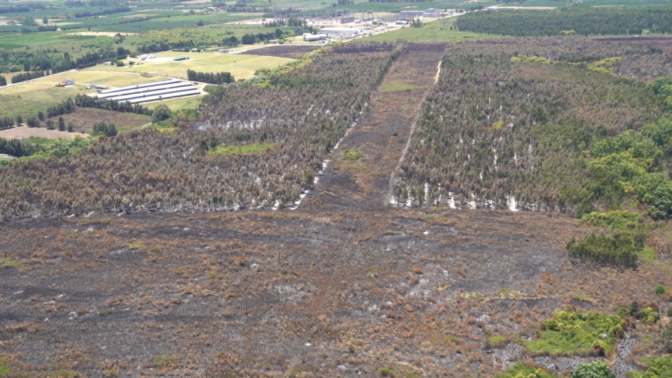 Cortafuegos Cortafuegos