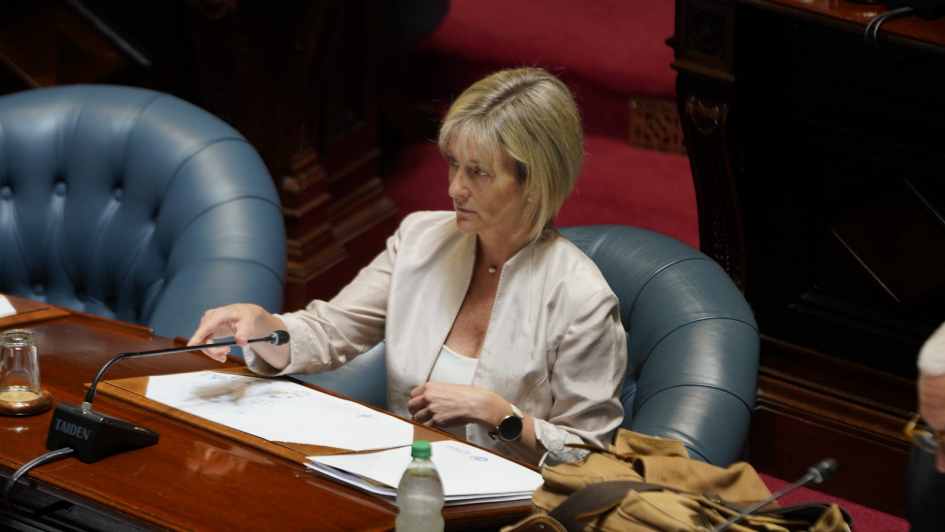 Subsecretaria Cra. Gabriela Valverde en Parlamento 