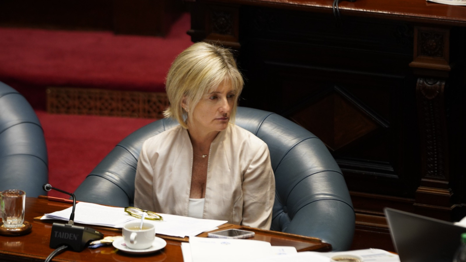 Subsecretaria Cra. Gabriela Valverde en Parlamento 